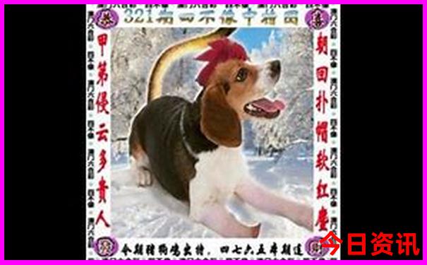 白水寨必去三个景点